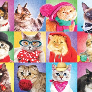 Silly Cats 300 Piece Puzzle